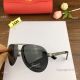 2019 Copy Cartier All Black Sunglasses - Polarized Sunglasses - New Style (8)_th.jpg